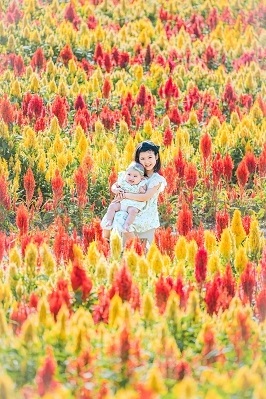 第22回 可児市観光協会フォトコンテスト